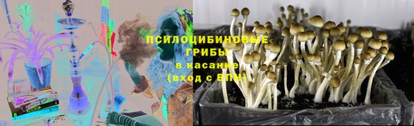 Альфа ПВП Баксан