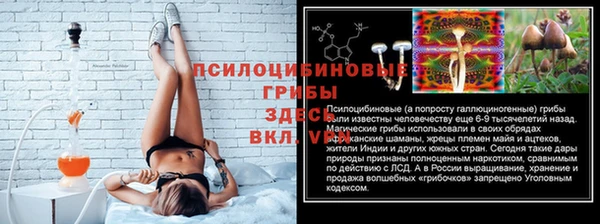 спайс Белокуриха